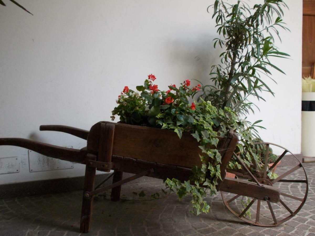 “La Loggia” Apartment Casale Monferrato Exteriér fotografie